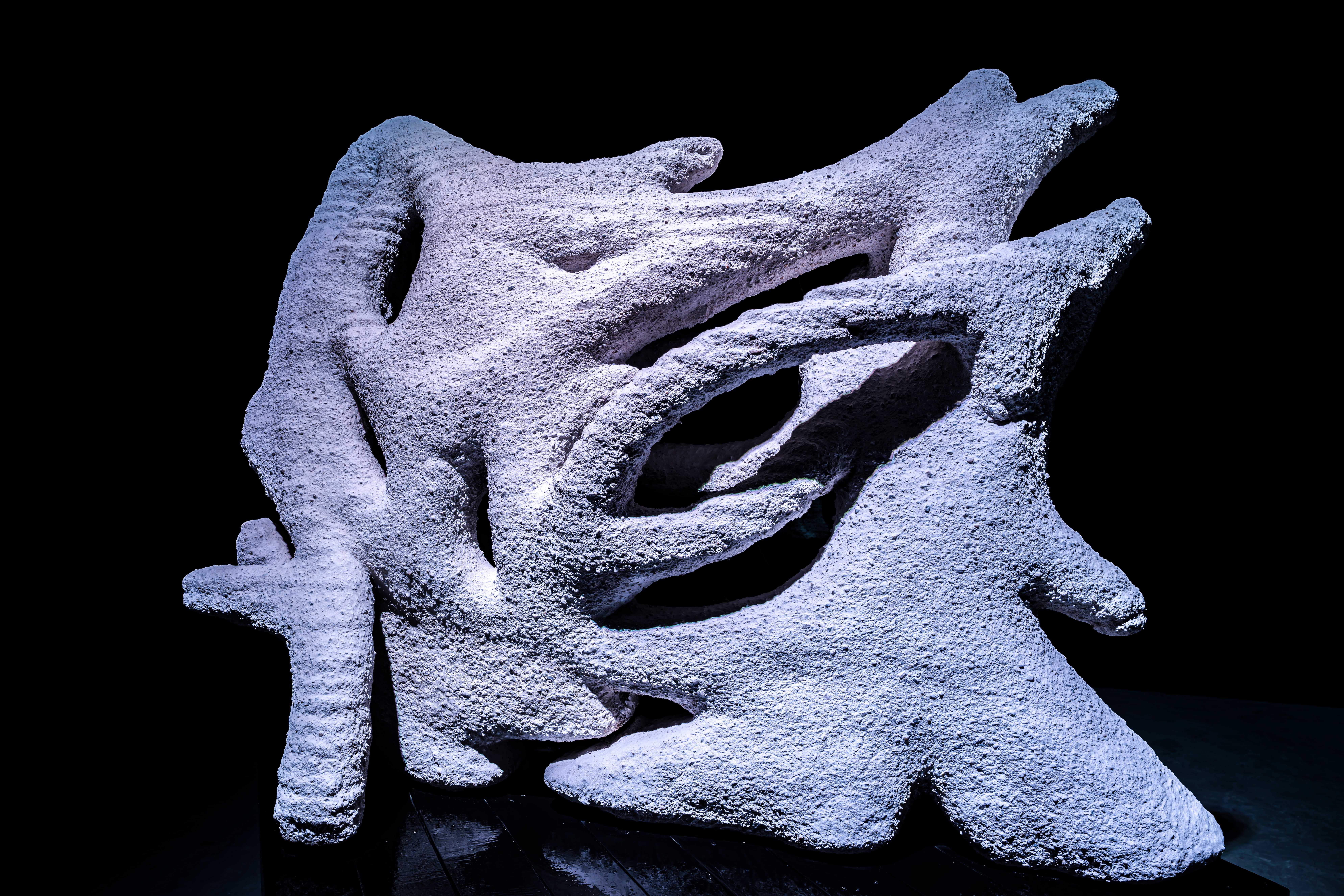 Digitally Produced 3-D Sculpture Series